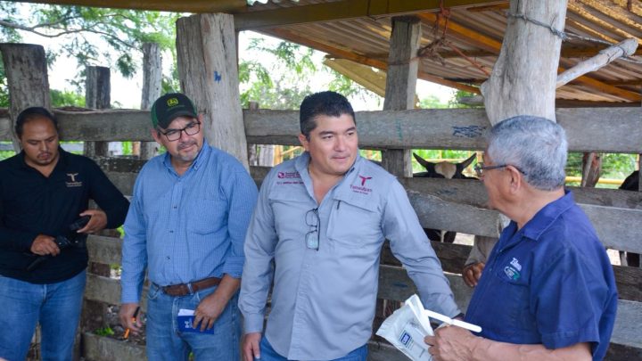 Inicia proyecto de mejoramiento genético con tecnología in vitro en Aldama y Altamira