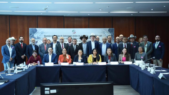 Desde la comisión de agricultura, senadora Olga Sosa impulsa el fortalecimiento del campo mexicano y la soberanía alimentaria