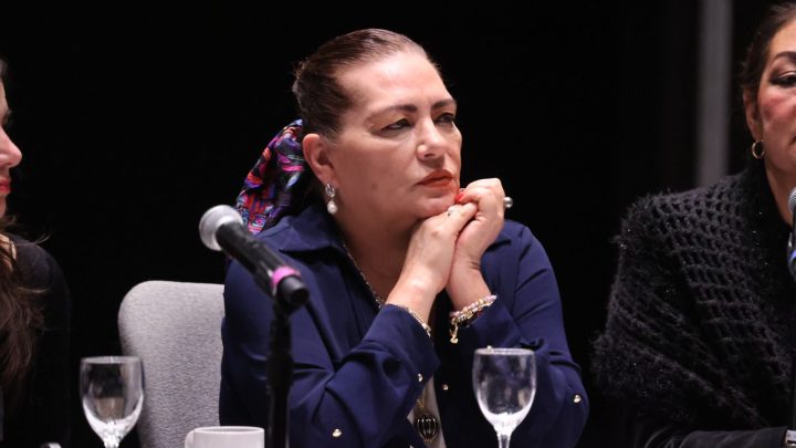 El Sistema Nacional de Elecciones funciona: Guadalupe Taddei