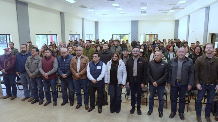 Impulsa Tamaulipas respuesta temprana para contener al gusano barrenador