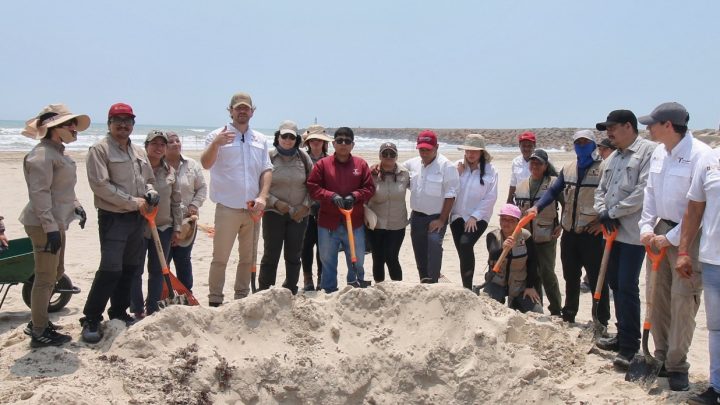 Suma Tamaulipas esfuerzos con la Federación para conservar playas y costas