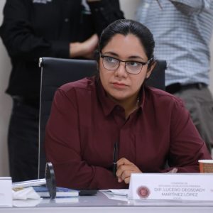 Comisiones avalan reformas en materia de protección a las mujeres y derechos de personas LGBTTTI+