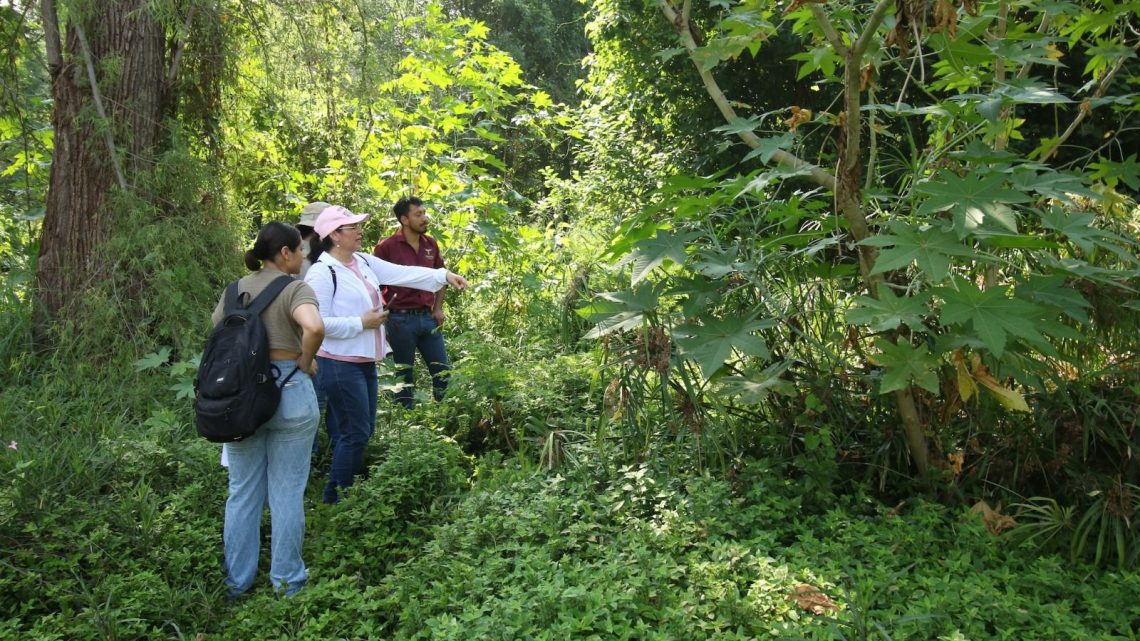 Realiza Gobierno de Tamaulipas diagnóstico ambiental en el río San Marcos